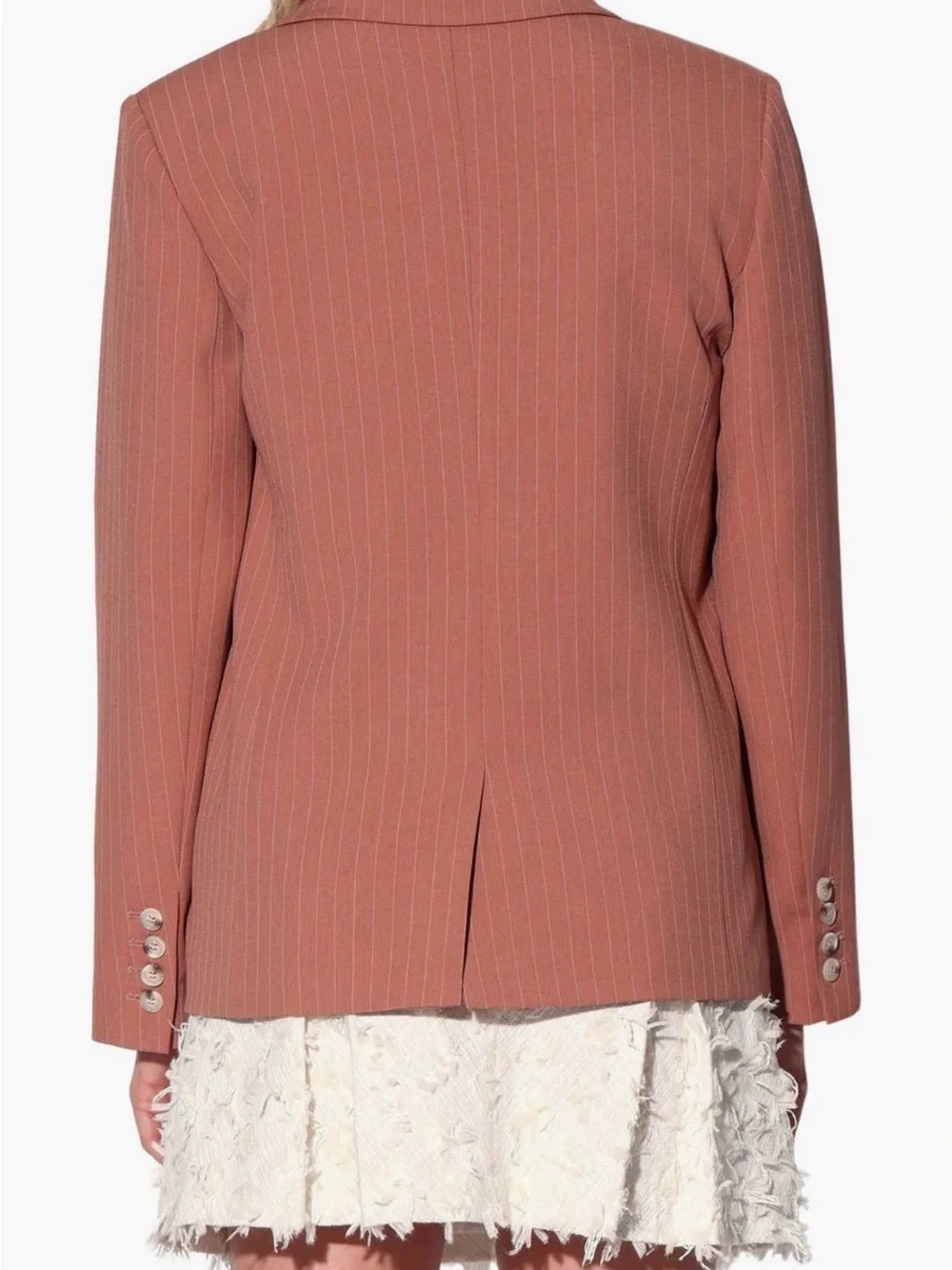 Walter Baker Pinstripe Blazer in Terracotta Size M